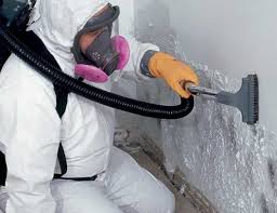 Why You Should Choose Our Mold Remediation Services in Windy Hills, KY